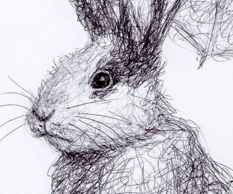 Original Bunny Rabbit Drawing Sketch: Biro Pen Art, Unframed (8.5x11 ...