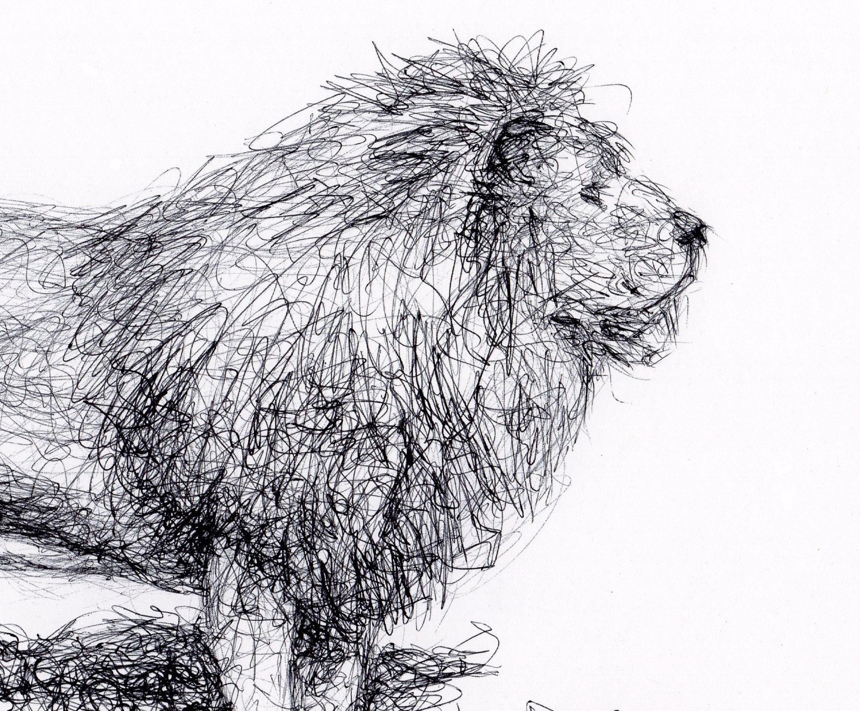 ライオン　動物ペン画No.14 オリジナルライオン ボールペン画 - フレームなしライオンスケッチ
