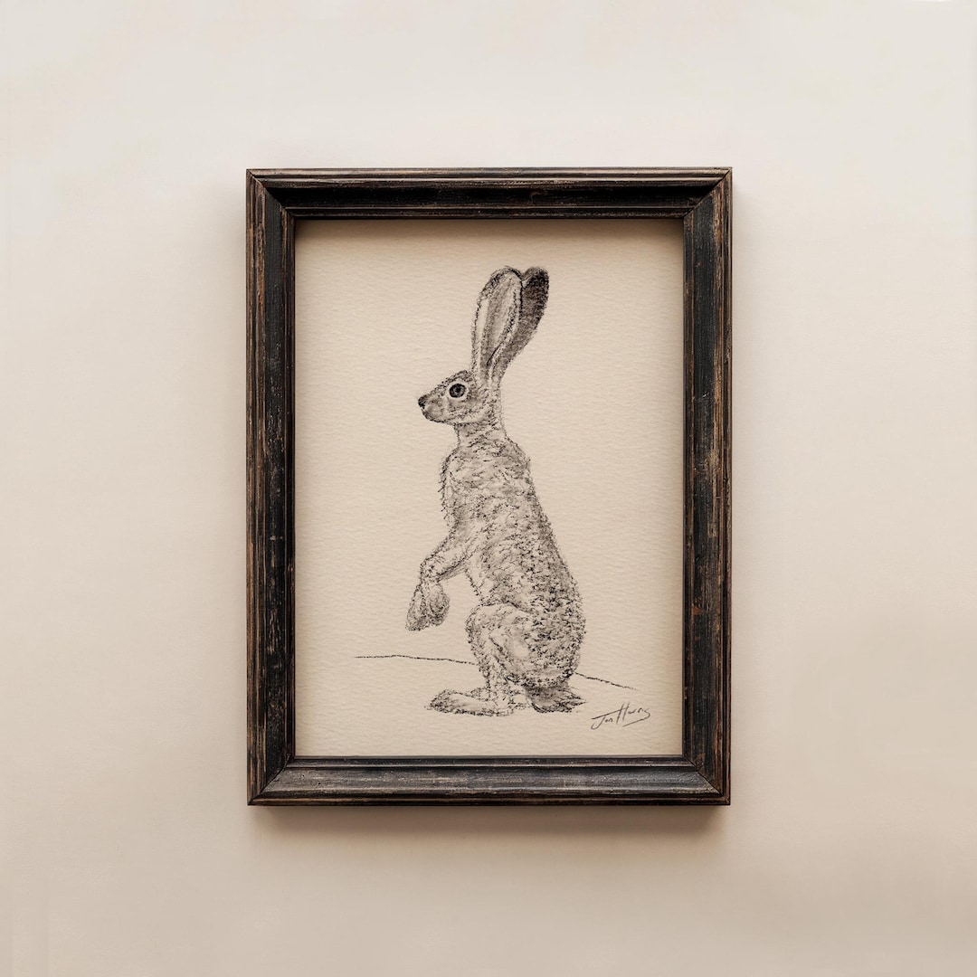 Original Jack Rabbit Drawing Sketch: Charcoal, Vintage Wall Art ...