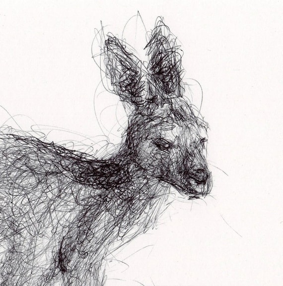 Biro Drawing Animal