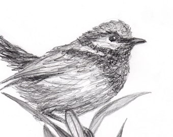 応答する鳥 3 日目 - 鉛筆画プリント - Etsy 日本
