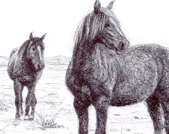 Original Horses Biro Pen Drawing - Unframed Horse Sketch Art (8.5 x 11 inches)