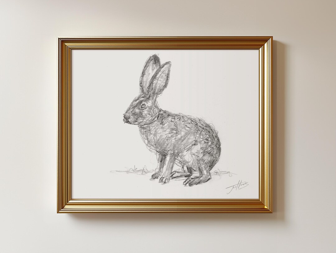 Original Charcoal Rabbit Drawing: Jack Rabbit Animal Art, 8.5x11 ...
