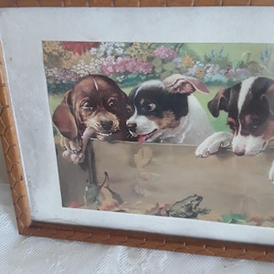 May include: A framed print featuring three puppies peering over a wooden box. The puppies have brown, black, and white markings. The background shows a garden with flowers and a frog.