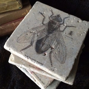 Bug Coasters Set of 4 Bug Coasters Set of 4