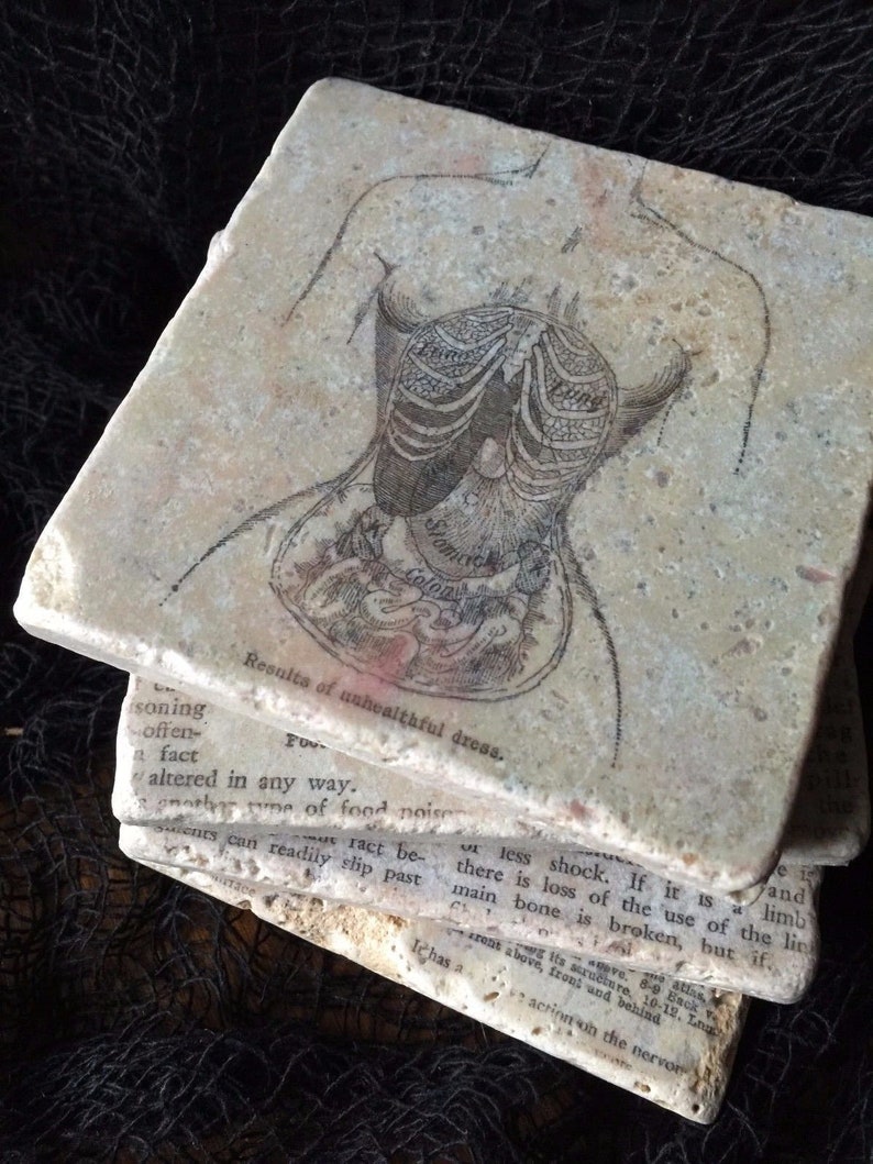 anatomy oddities curiosities gothic vintage diagram organs anatomical science victorian renaissance 4 Corset Disfiguration Coasters set