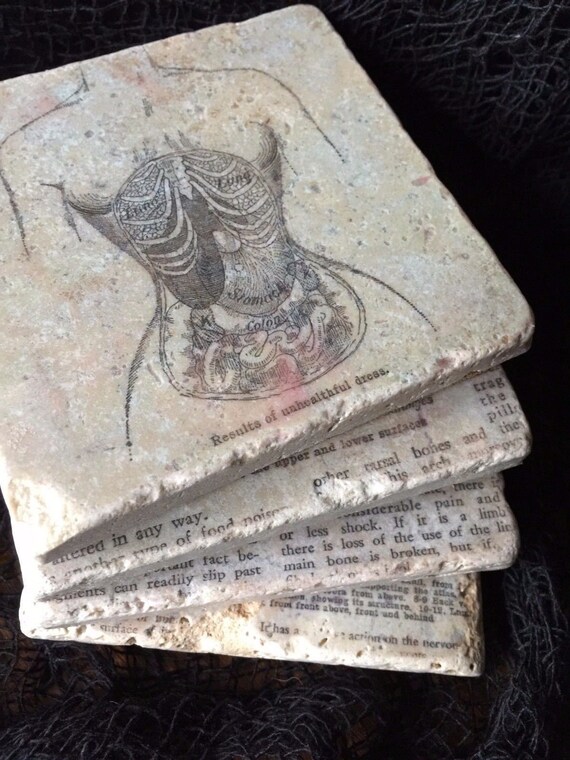 anatomy oddities curiosities gothic vintage diagram organs anatomical science victorian renaissance Corset Disfiguration Coasters set 4