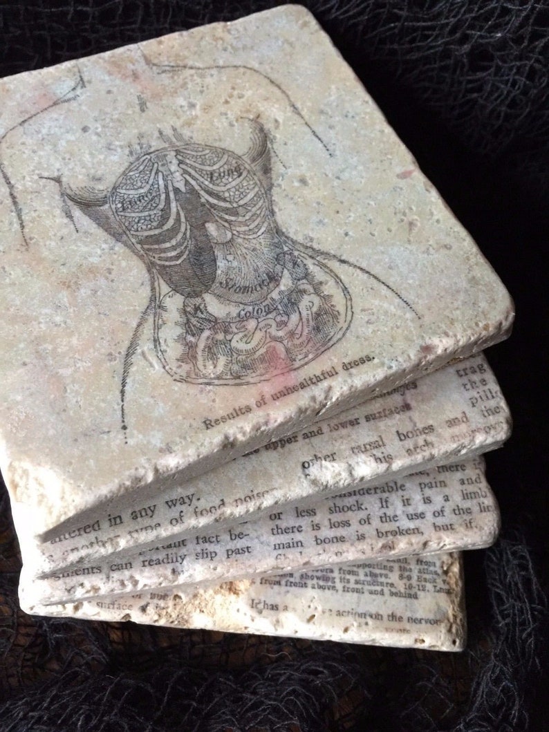 anatomy oddities curiosities gothic vintage diagram organs anatomical science victorian renaissance 4 Corset Disfiguration Coasters set