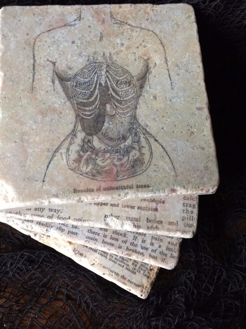 anatomy oddities curiosities gothic vintage diagram organs anatomical science victorian renaissance 4 Corset Disfiguration Coasters set