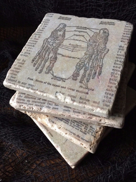 anatomy oddities curiosities gothic vintage diagram organs anatomical science victorian renaissance Corset Disfiguration Coasters set 4