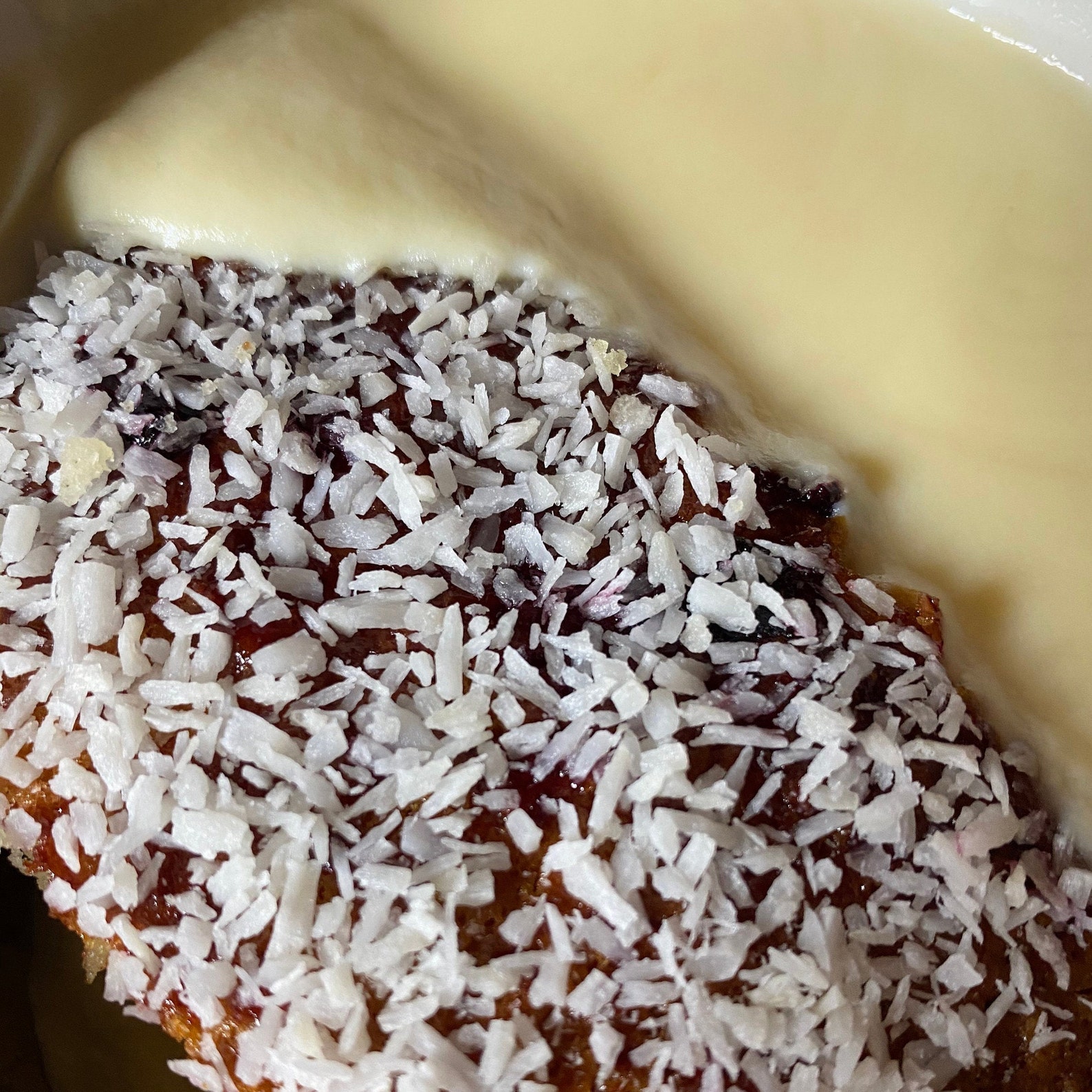 Jam & Coconut Sponge School Dinner Pudding Dessert Cake Etsy