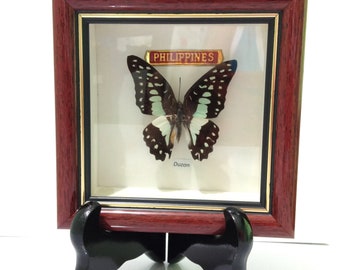 Wooden Coaster Set Of 12 With Case Made In Philippines Etsy