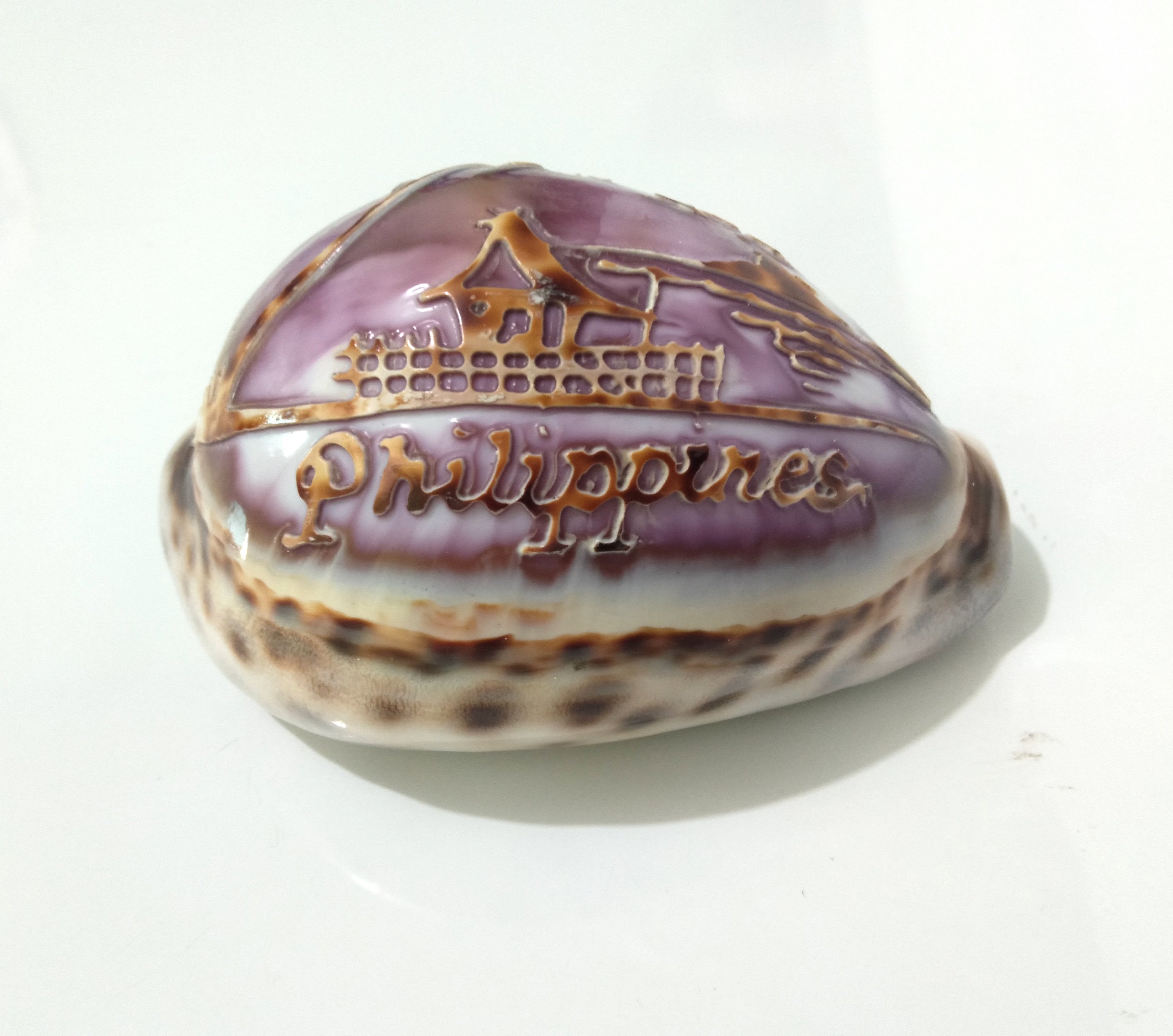 Seashell Souvenir With Engraved Bahay Kubo Made in Philippines