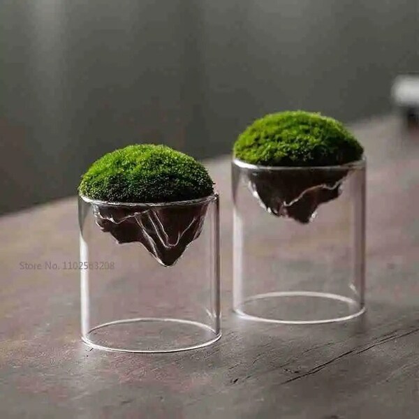 Mini Mountain Shaped Terrarium for Micro Landscape - Creative Moss Cup - DIY Home Decor