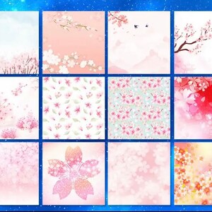 50 Stück Kirschblüten mehrfarbiges Kraftpapier - Farbe Origami Papier - DIY Scrapbooking, Kartenherstellung, Geschenk