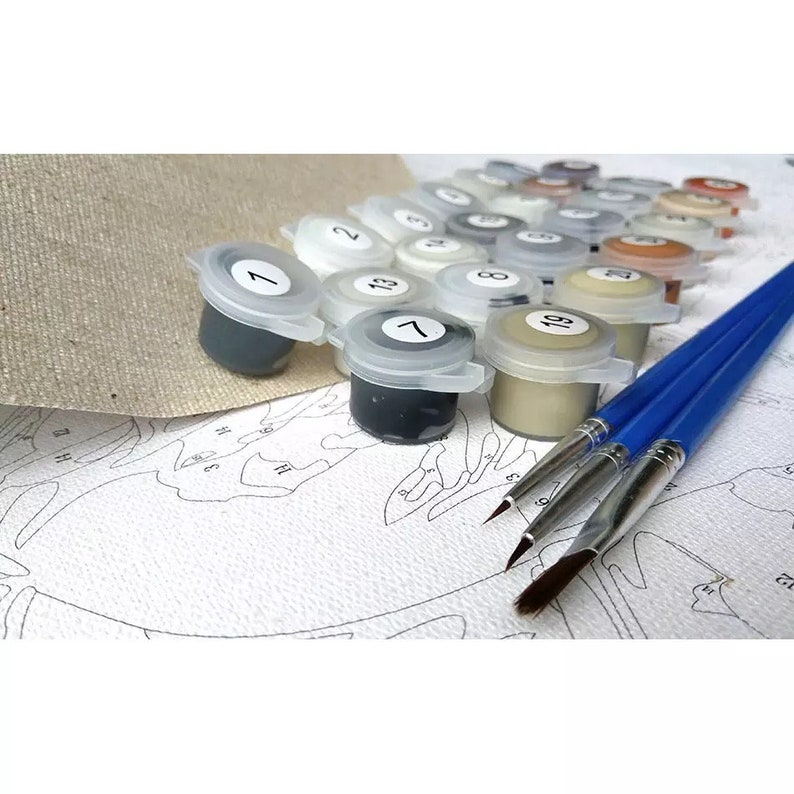May include: A paint-by-number kit featuring a textured canvas with printed outlines and numbered sections, a set of small plastic pots filled with various colored paints labeled with numbers, and three blue-handled paintbrushes with metal ferrules.