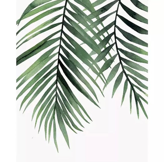Paint by Numbers Kit - DIY Painting Kit - Gift Idea - House Plants - 3 Sizes