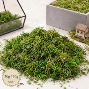 Artificial Moss for Terrariums, Fake Faux Moss 30g or 60g, Green Craft Moss for Model Making, Fairy Garden Decor & Plant Arrangements