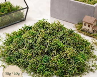 Artificial Moss for Terrariums, Fake Faux Moss 30g or 60g, Green Craft Moss for Model Making, Fairy Garden Decor & Plant Arrangements