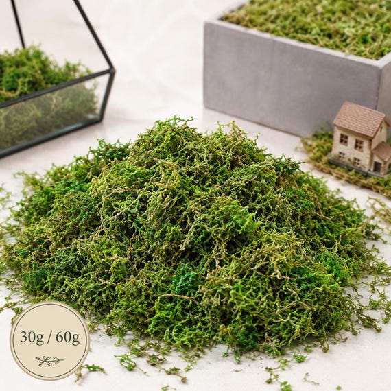 Artificial Moss for Terrariums, Fake Faux Moss 30g or 60g, Green Craft Moss for Model Making, Fairy Garden Decor & Plant Arrangements