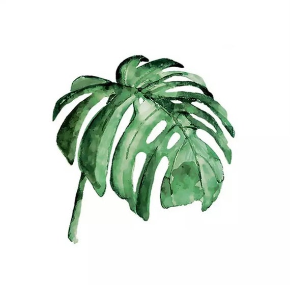 Paint by Numbers Kit - DIY Painting Kit - Gift Idea - House Plants - 3 Sizes