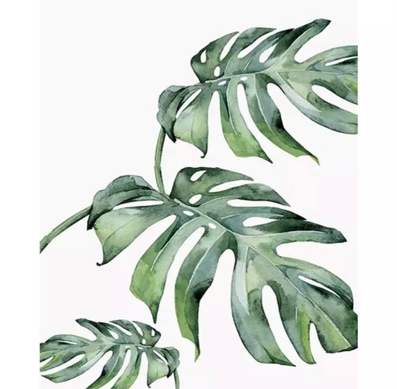 Paint by Numbers Kit - DIY Painting Kit - Gift Idea - House Plants - 3 Sizes