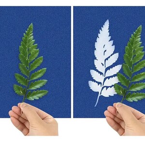 Papier imprimé soleil - papier sensible à la lumière - impression solaire - travaux manuels d'extérieur - travaux manuels de la nature - travaux manuels créatifs