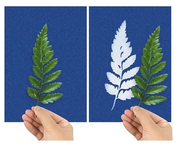 Sun Print Paper - Light Sensitive Paper - Solar Printing - Outdoor Craft - Nature Craft - DIY Art and Craft