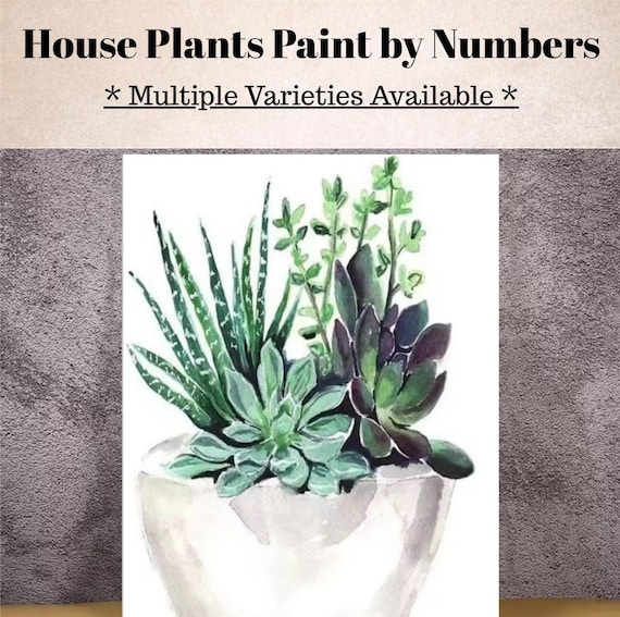 House Plants Paint by Numbers Kit – 25 Botanical Designs • Relaxing DIY Art Set • Canvas, Brushes & Paints Included – 3 Sizes Available