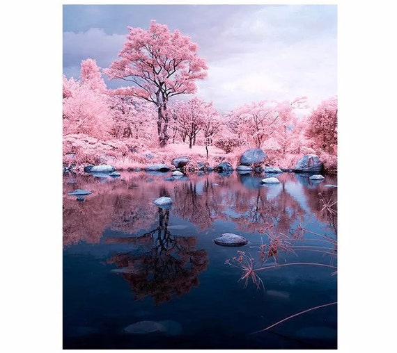 Paint by Numbers Kit - DIY Painting Kit - Gift Idea - Cherry Blossom Trees - 3 Sizes