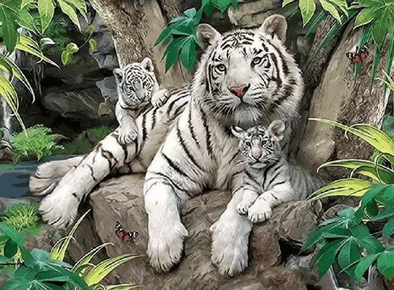 Paint by Numbers Kit - DIY Painting Kit - Gift Idea - White Tigers - 3 Sizes