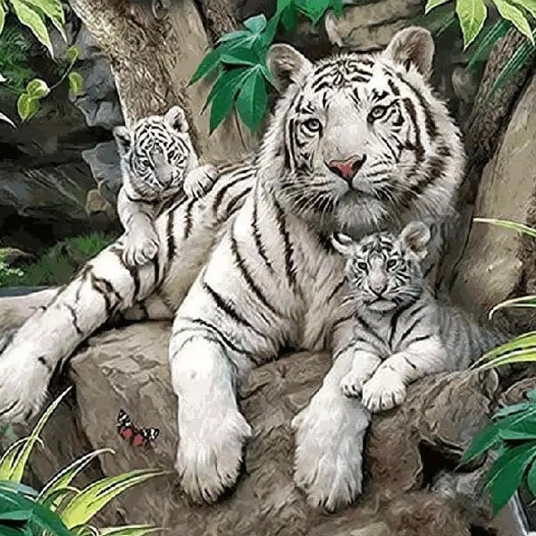 Kit de peinture par numéros - Kit de peinture DIY - Idée cadeau - Tigres blancs - 3 tailles