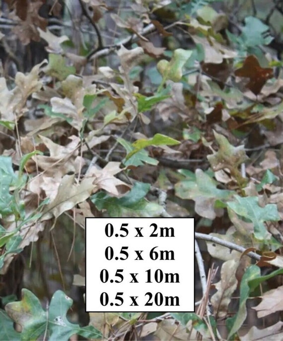 Hydrographic Water Transfer Film - Hydrographic dipping - Water Dipping Film - Hydro Dipping Print Browning Leaves