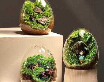 Glass Egg Shaped Terrarium  - Indoor Glass Planter - Succulent Terrarium