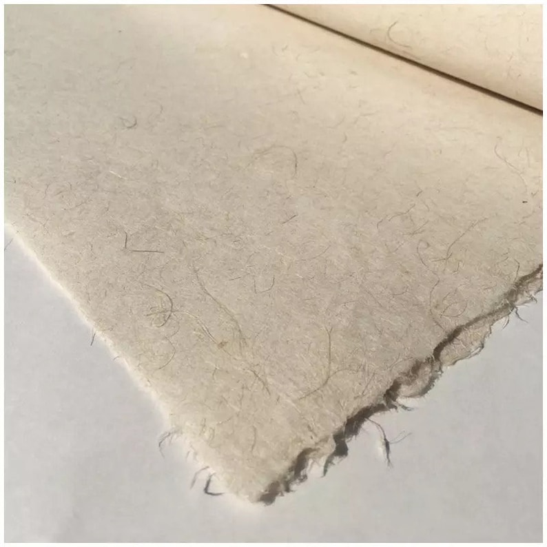 May include: A sheet of off-white handmade paper with a visible fibrous texture and natural inclusions. The paper features a rough, deckled edge along the side, showcasing the organic, uneven border characteristic of traditional artisanal paper production.