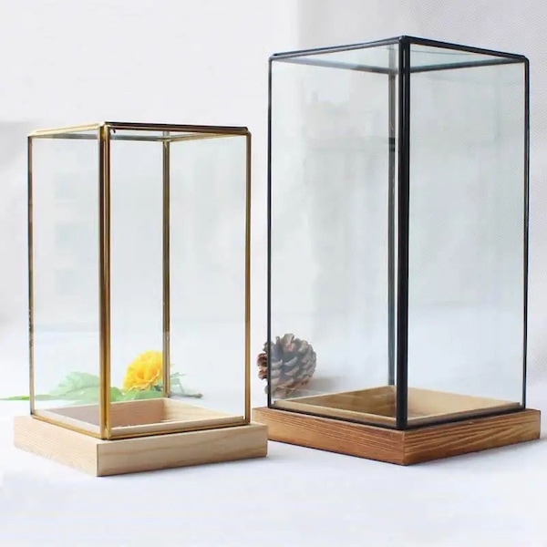 Metal, Wood & Glass Terrarium - Indoor Glass Planter - Bonsai Terrarium