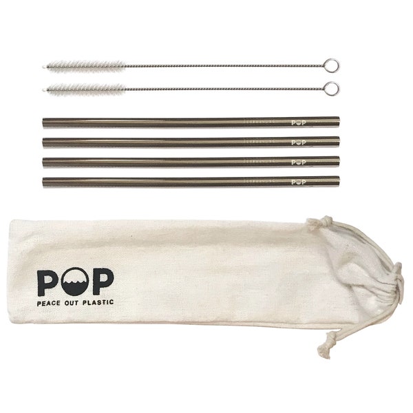 Stainless Steel Metal Drinking Straw and Brush Gift Set | Includes 4 Straws + 2 Straw Brushes + Pouch | Eco-friendly Portable Travel