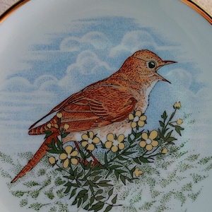 Vintage Öland collectible wall plate, Vintage porslin, wall dish, Birds dish, birds wall plate, Sweden collectible porcelain wall plate (14)