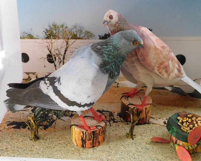 paper craft bird pigeon