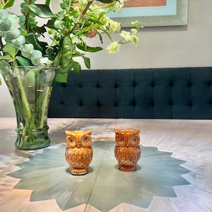 Owl Shaped Porcelain Set of Salt and Pepper Shakers