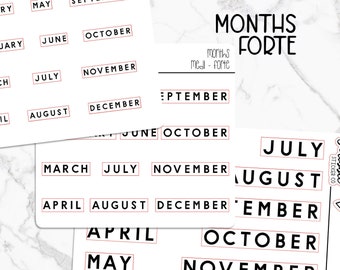 FORTE Month Script Stickers    |   Minimal Paper Planner Stickers