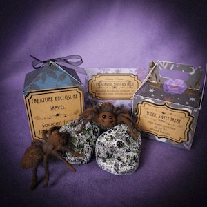 Pygmy Giant Magical Spider