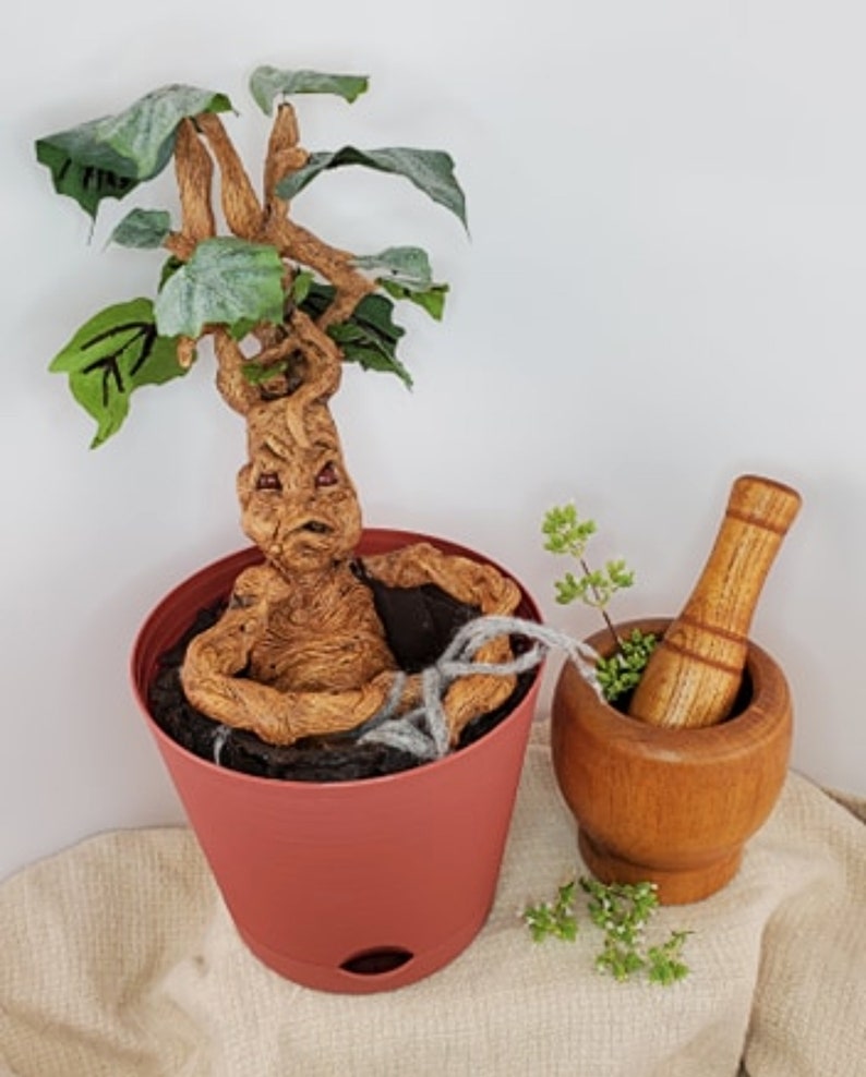 mandrake root scream mandrake root scream