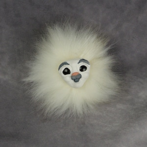 Pygmy Puff Balls, &quot;Robert&quot;