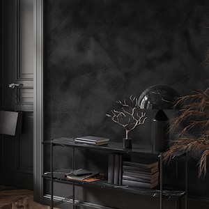 May include: A black marble console table with two shelves, holding books, decorative items, and a small tree sculpture. The background features a dark wall and a door, creating a sophisticated interior design scene.