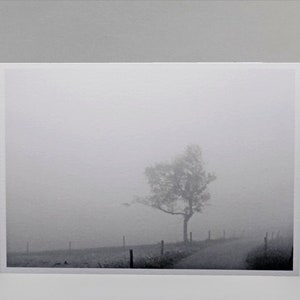 Carta piegata - poetica - albero nella nebbia