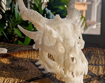 May include: A translucent white dragon skull sculpture featuring intricate bone textures, sharp teeth, and prominent curved horns extending from the top and sides of the cranium. The skull displays detailed eye sockets and a defined snout structure.