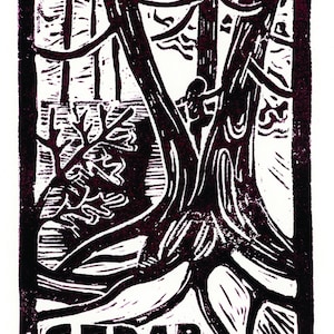 Cedar print