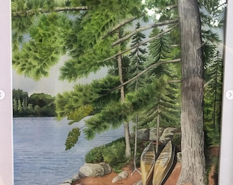 BWCA collection: Nestled Canoes