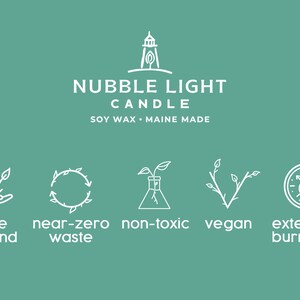 Fragrance For Soy Wax Candles At Clifford Pannell Blog